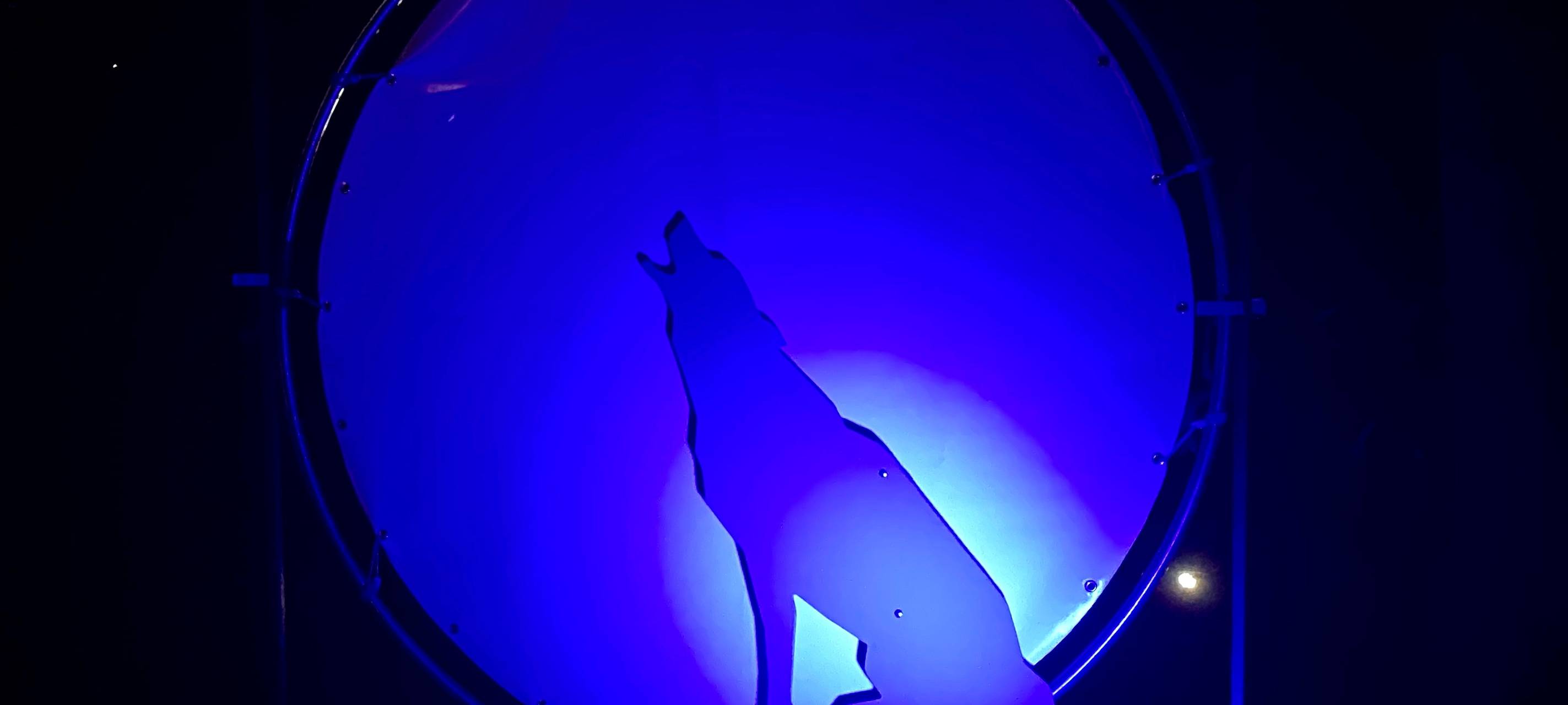 Parkleuchten in Essen 2023: Der Grugapark leuchtet wieder - Infos und Eindrücke