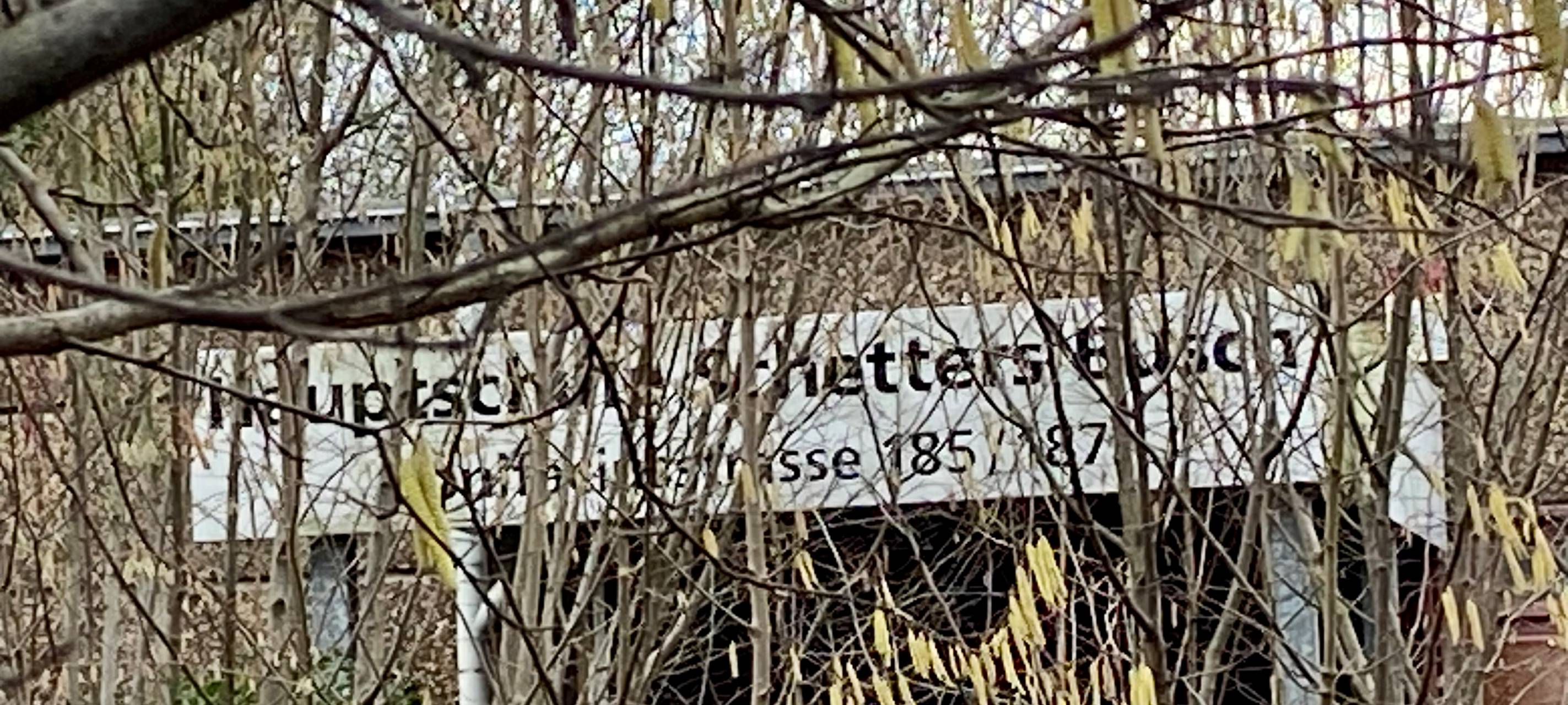 Alte Hauptschule in Essen: Entscheidung über Grundstück soll bis Juni fallen