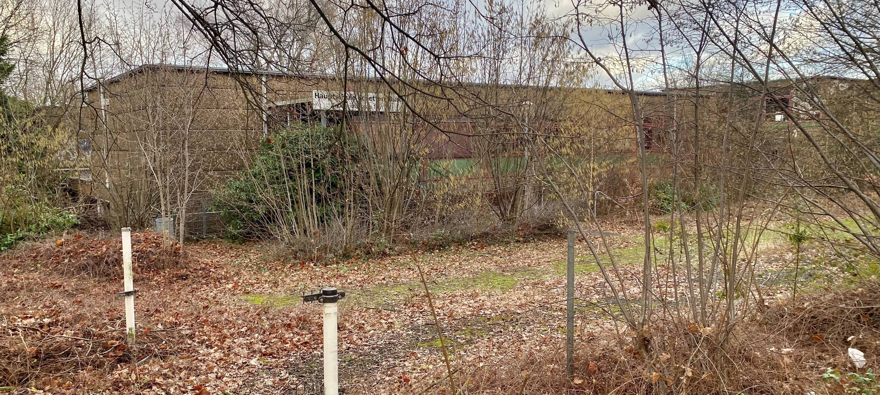 Alte Hauptschule in Essen: Entscheidung über Grundstück soll bis Juni fallen