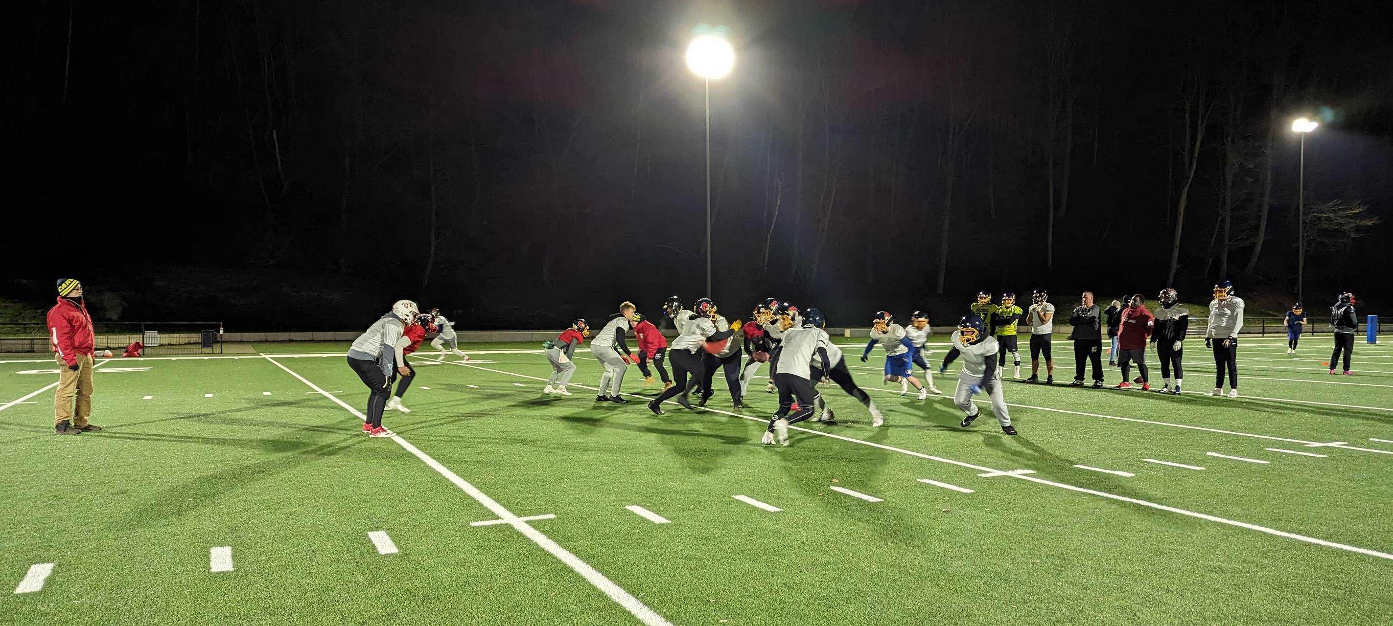 Football in Essen: Die Assindia Cardinals sind ambitioniert