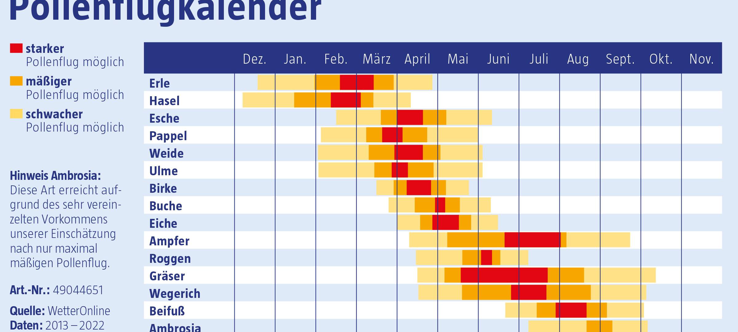 Erster Pollenflug in Essen: Das könnt Ihr tun