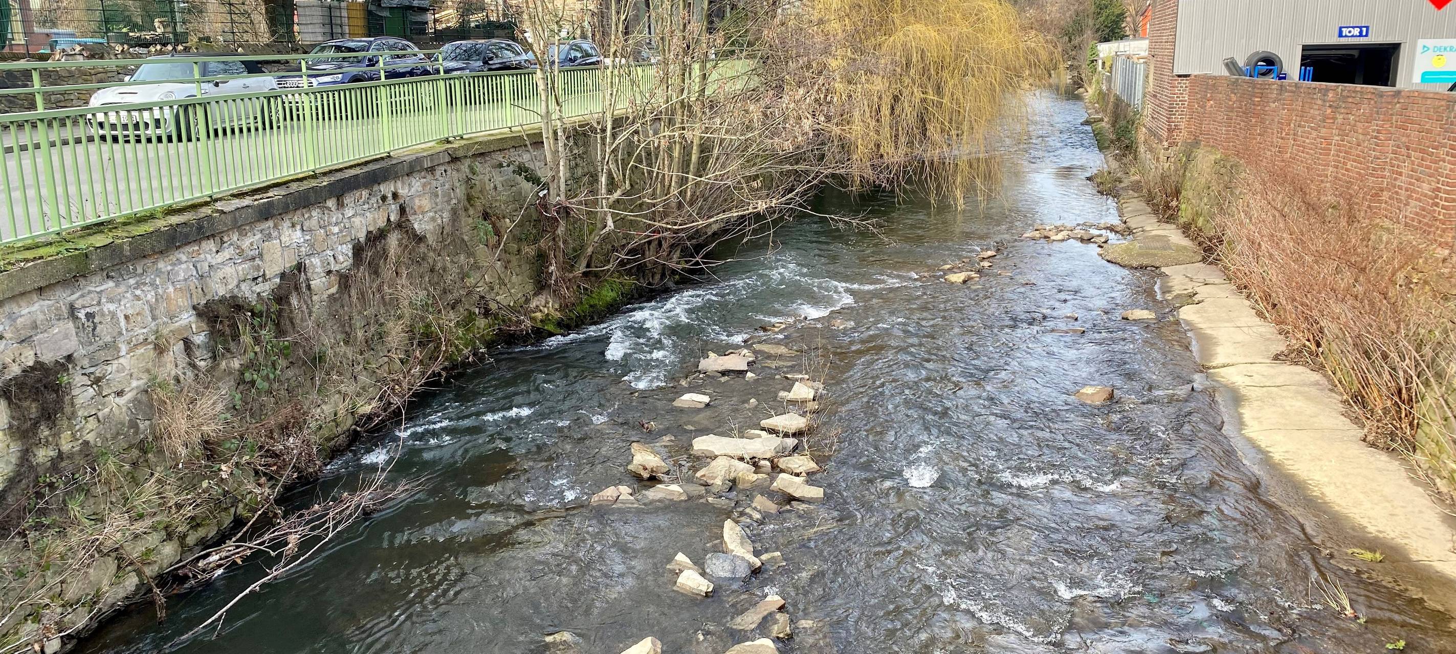 Der Deilbach nach dem Gülle-Austritt in Velbert