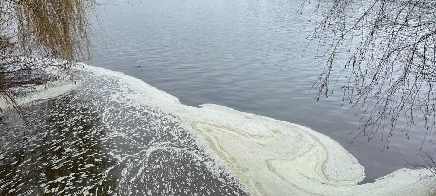 Wasserqualität im Baldeneysee Essen nur "ausreichend"