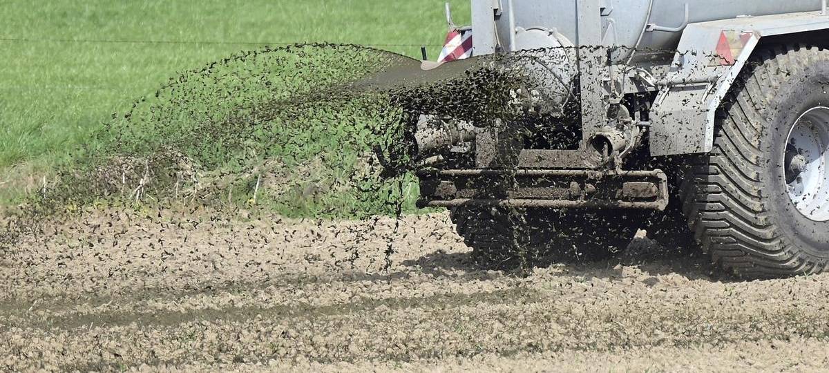 Gülle ausgelaufen: Auch Baldeneysee in Essen betroffen