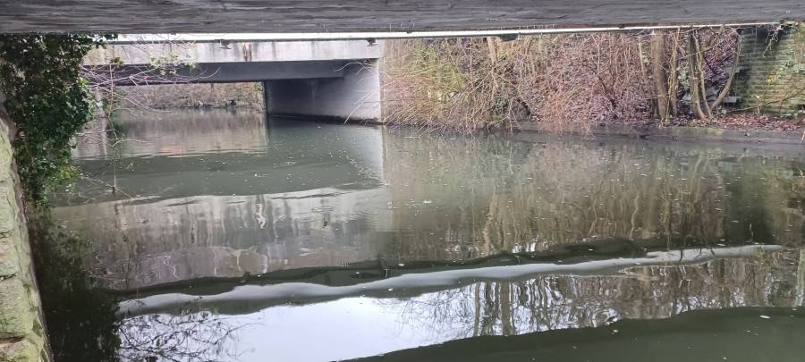 Deilbach in Essen beruhigt sich nach Gülle-Austritt