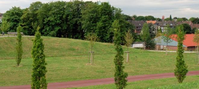 Essen bekommt neuen Wald