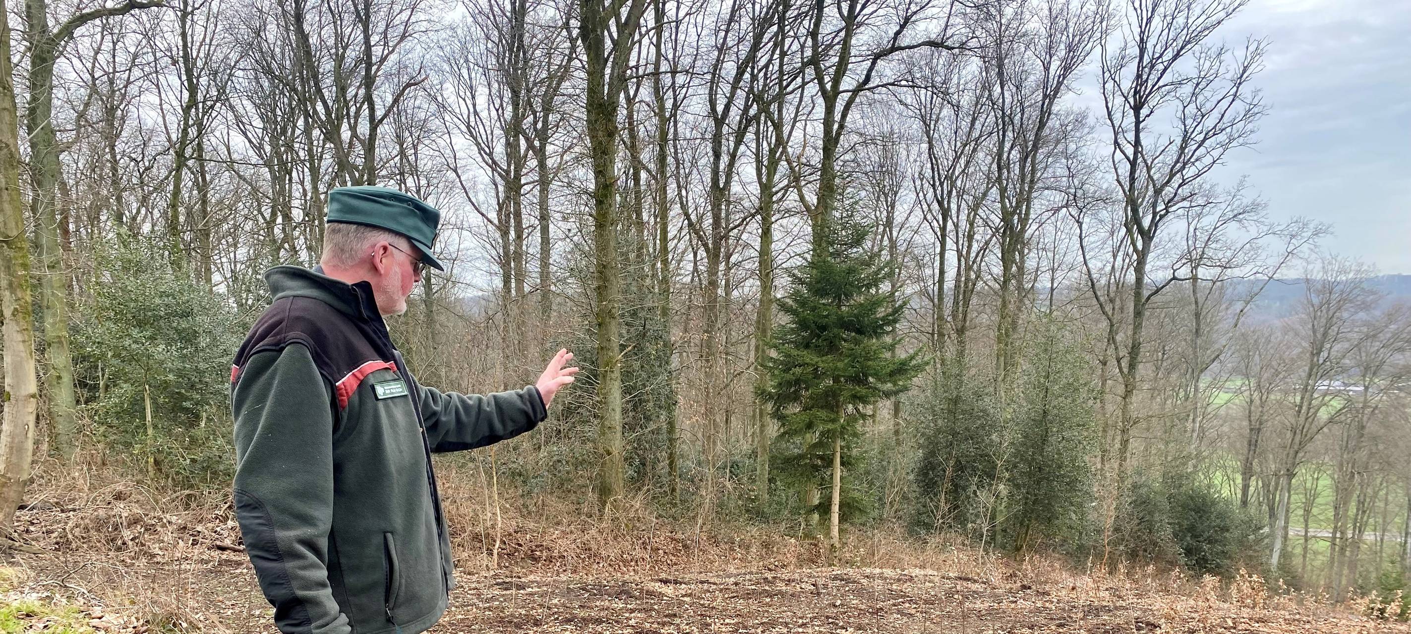 Wälder in Essen vom Klimawandel bedroht