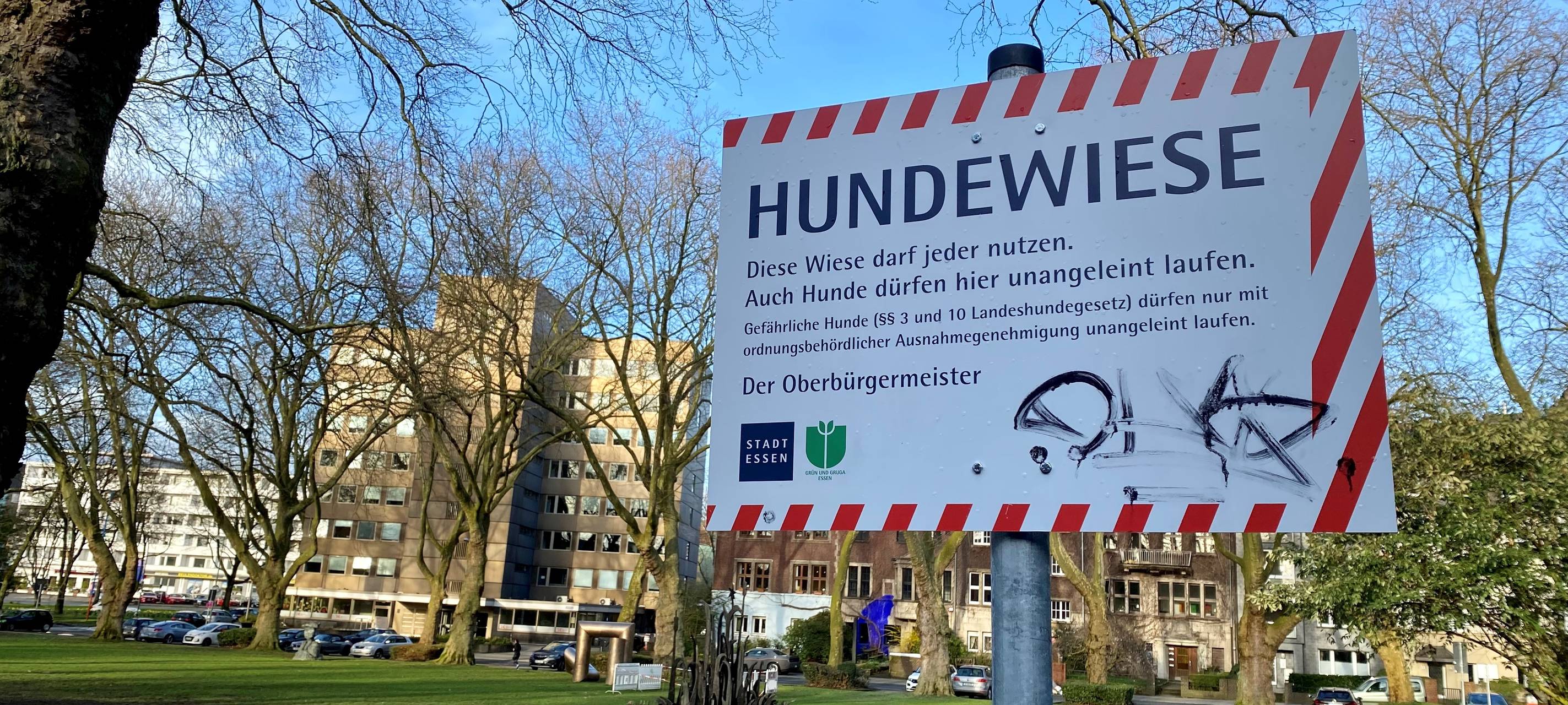 Hundewiese in Essen soll weg: Besitzer protestieren