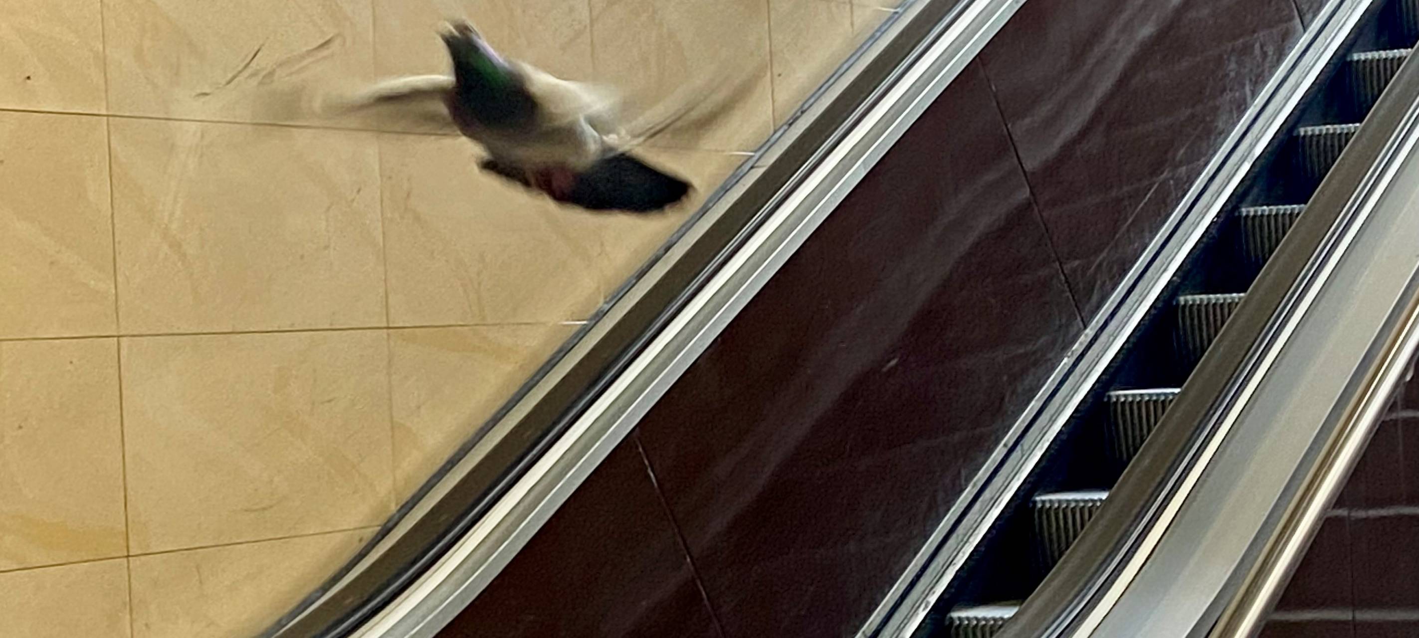 Bahnhöfe in Essen sehen übel aus