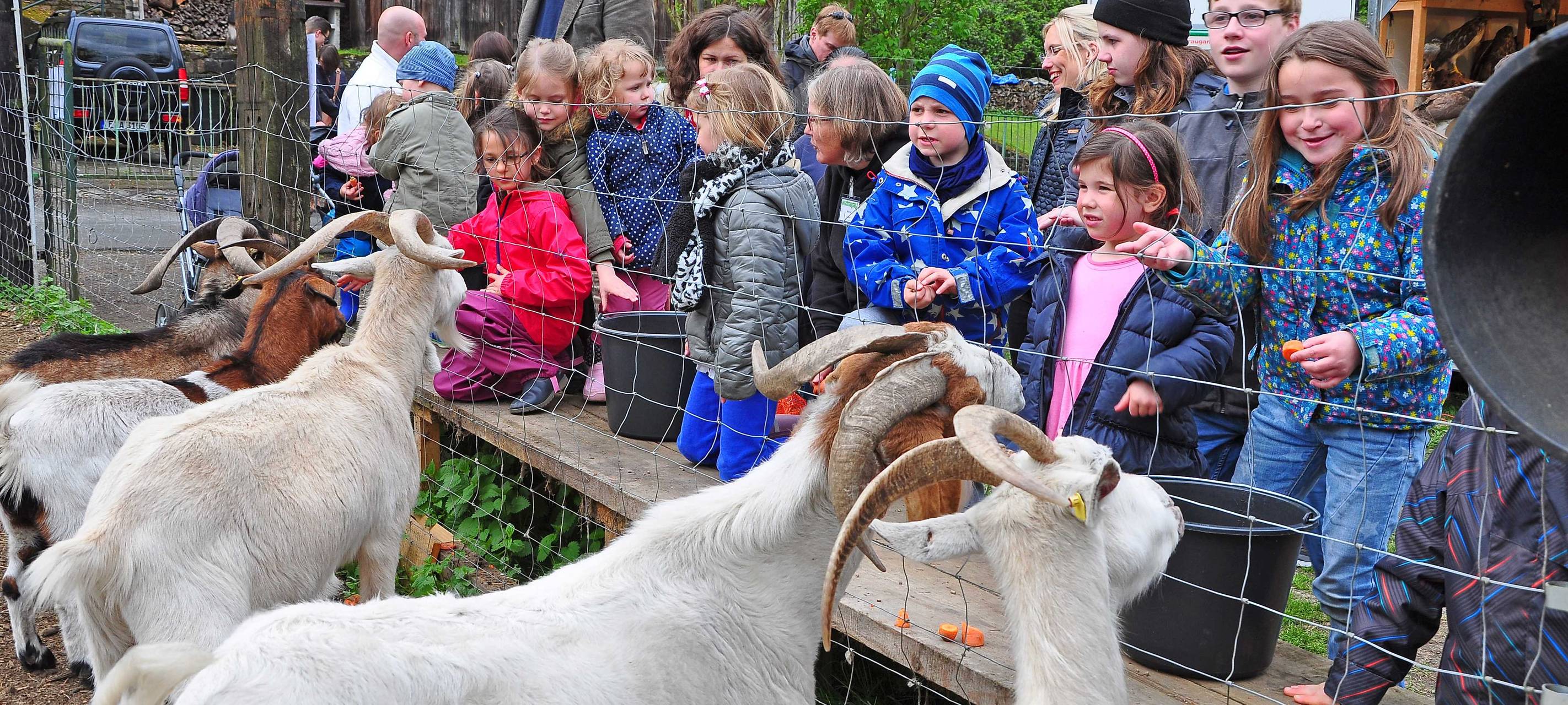 Ostern in Essen: Tag der offenen Tür im Tiergehege Wichteltal