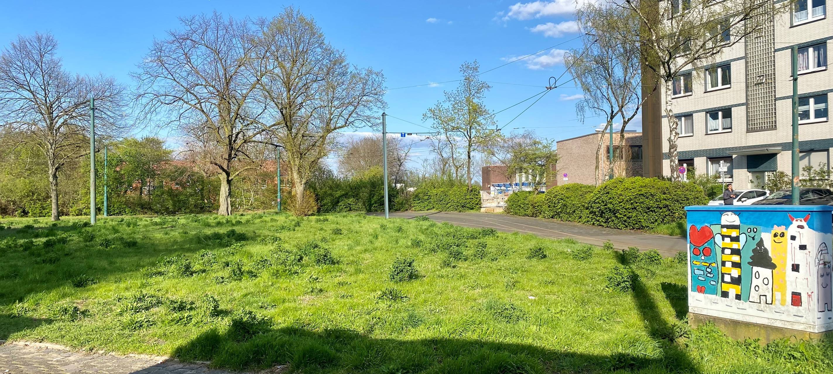 Wiese auf Gleisschleife Frintrop