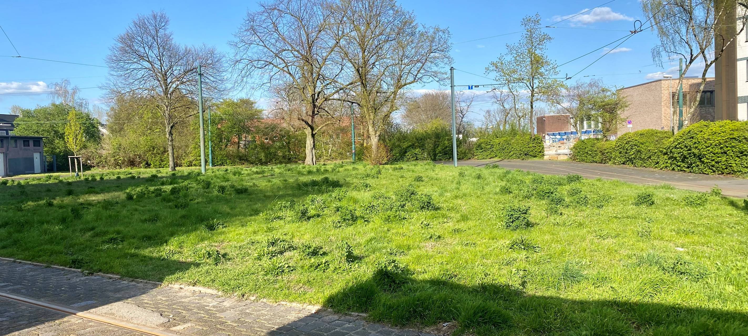 Wiese auf Gleisschleife Frintrop