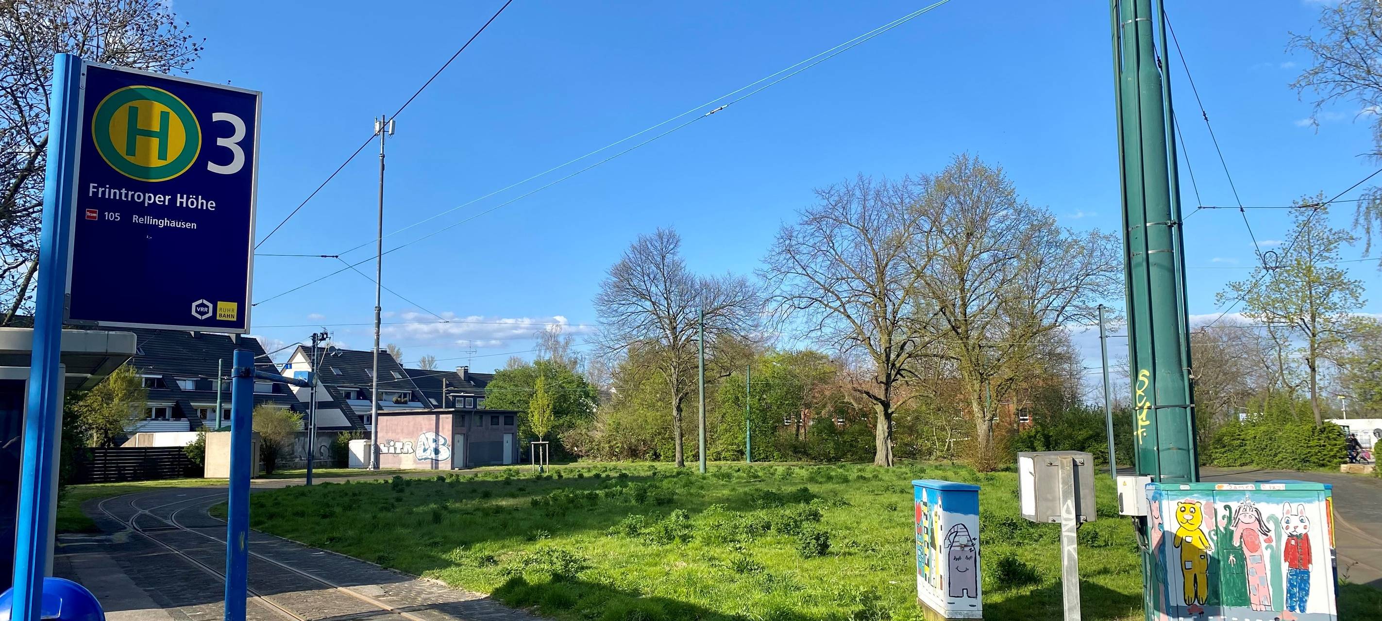 Wiese auf Gleisschleife Frintrop