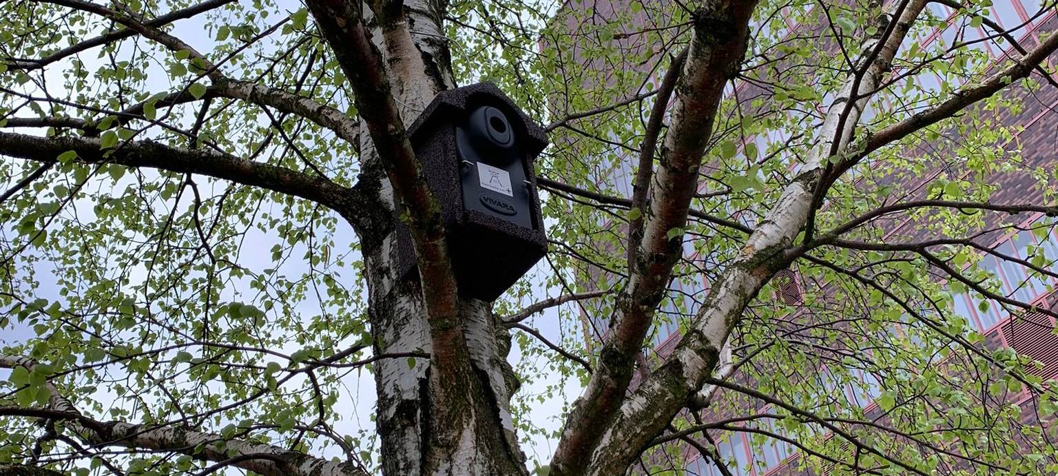 Neue Nistkästen auf Zollverein in Essen