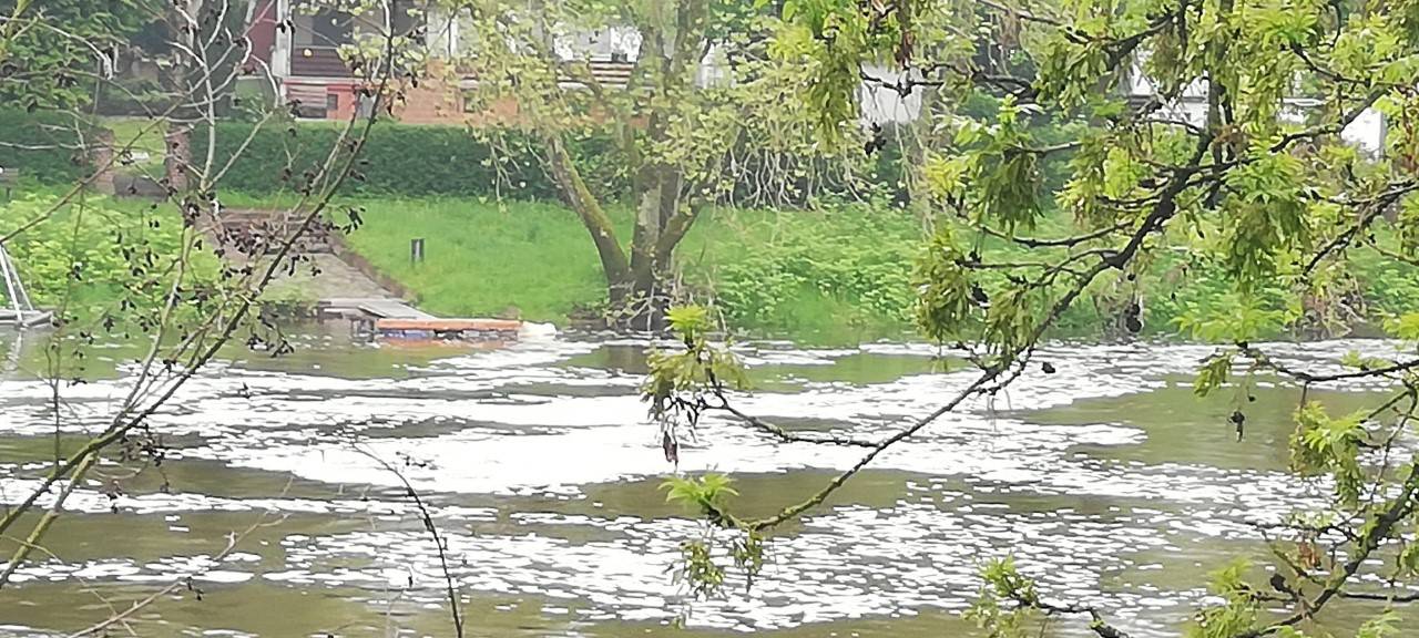 Auffälliger Schaum in Essen: Das ist die weiße Schicht auf dem Ruhrwasser