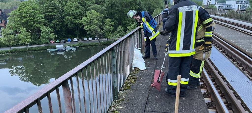 Flugunfall in Essen - Freiwillige Feuerwehr musste Schwan retten