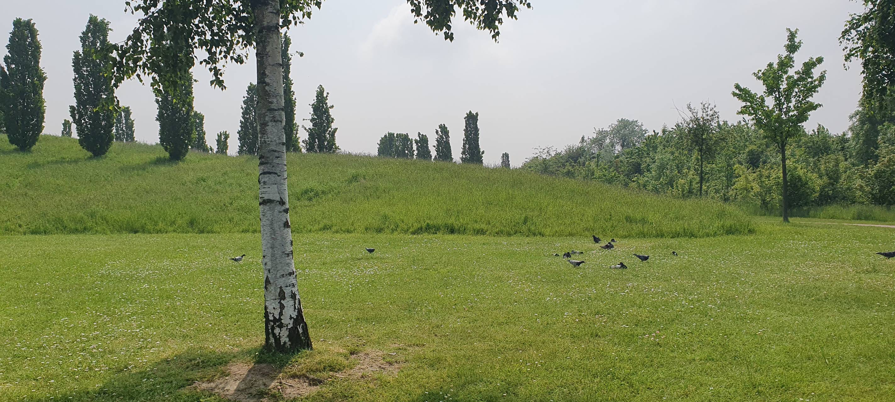 So nutzt Ihr die Parks in Essen - Tag der Parks