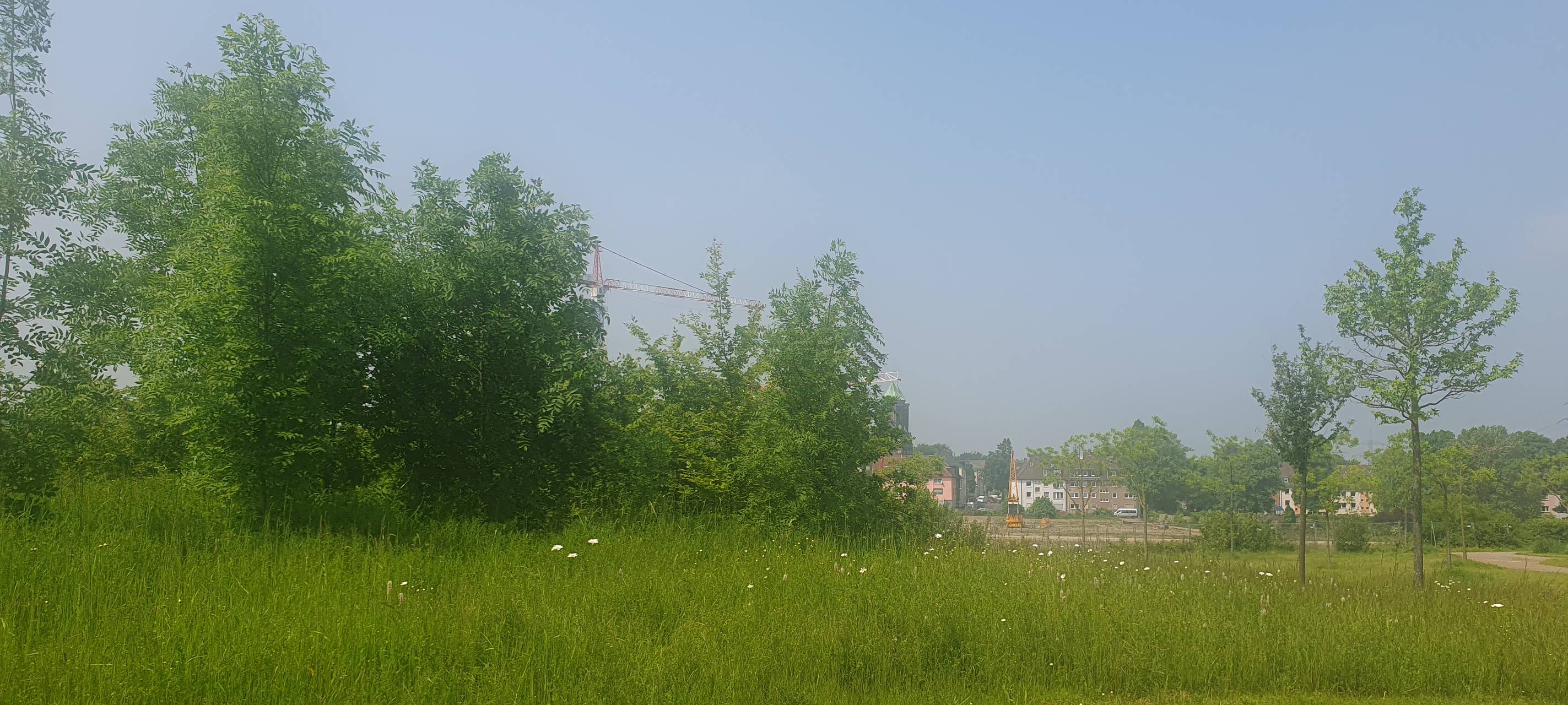 So nutzt Ihr die Parks in Essen - Tag der Parks