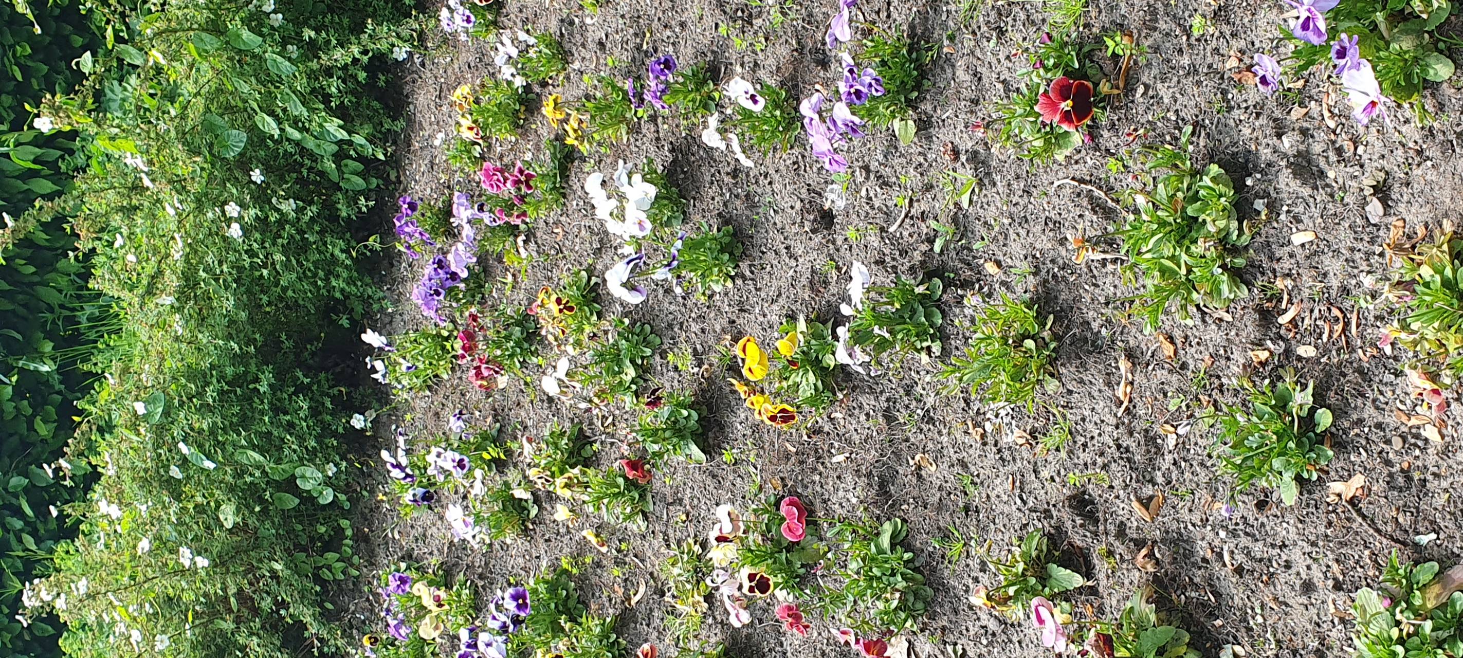 So nutzt Ihr die Parks in Essen - Tag der Parks