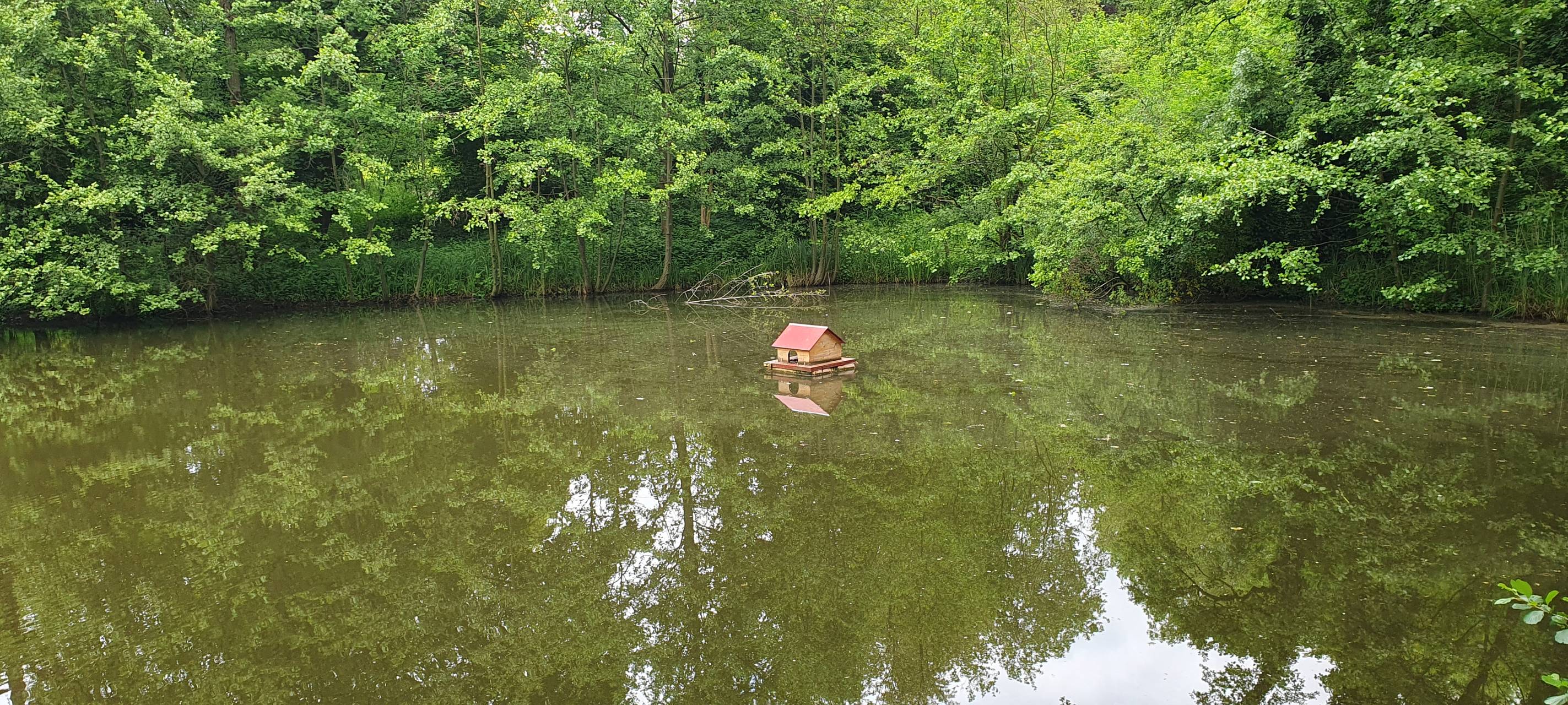 So nutzt Ihr die Parks in Essen - Tag der Parks