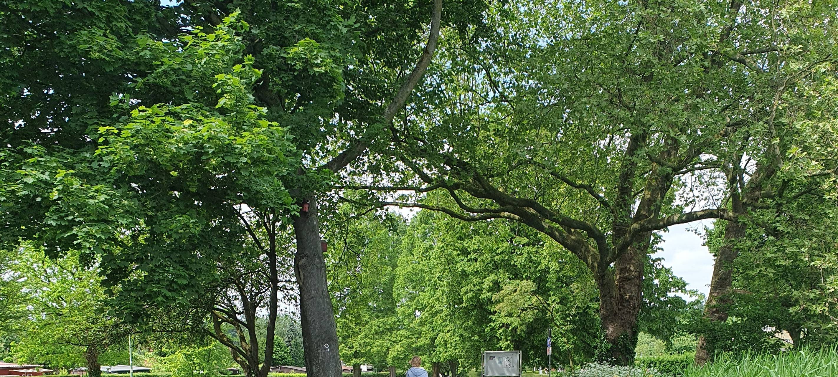 So nutzt Ihr die Parks in Essen - Tag der Parks