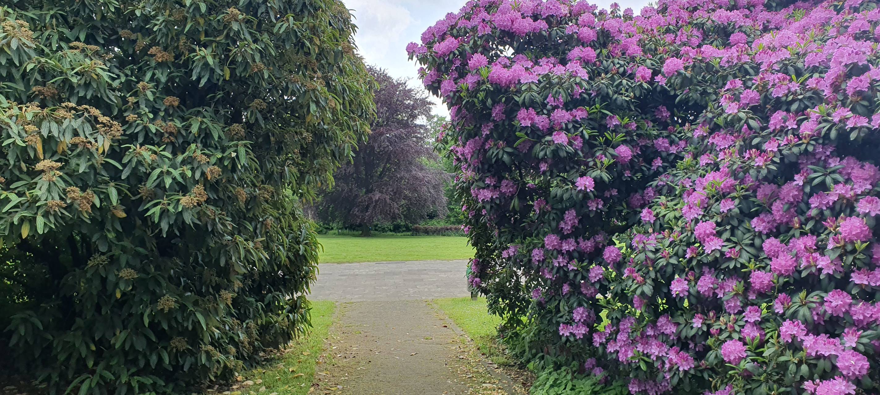 So nutzt Ihr die Parks in Essen - Tag der Parks