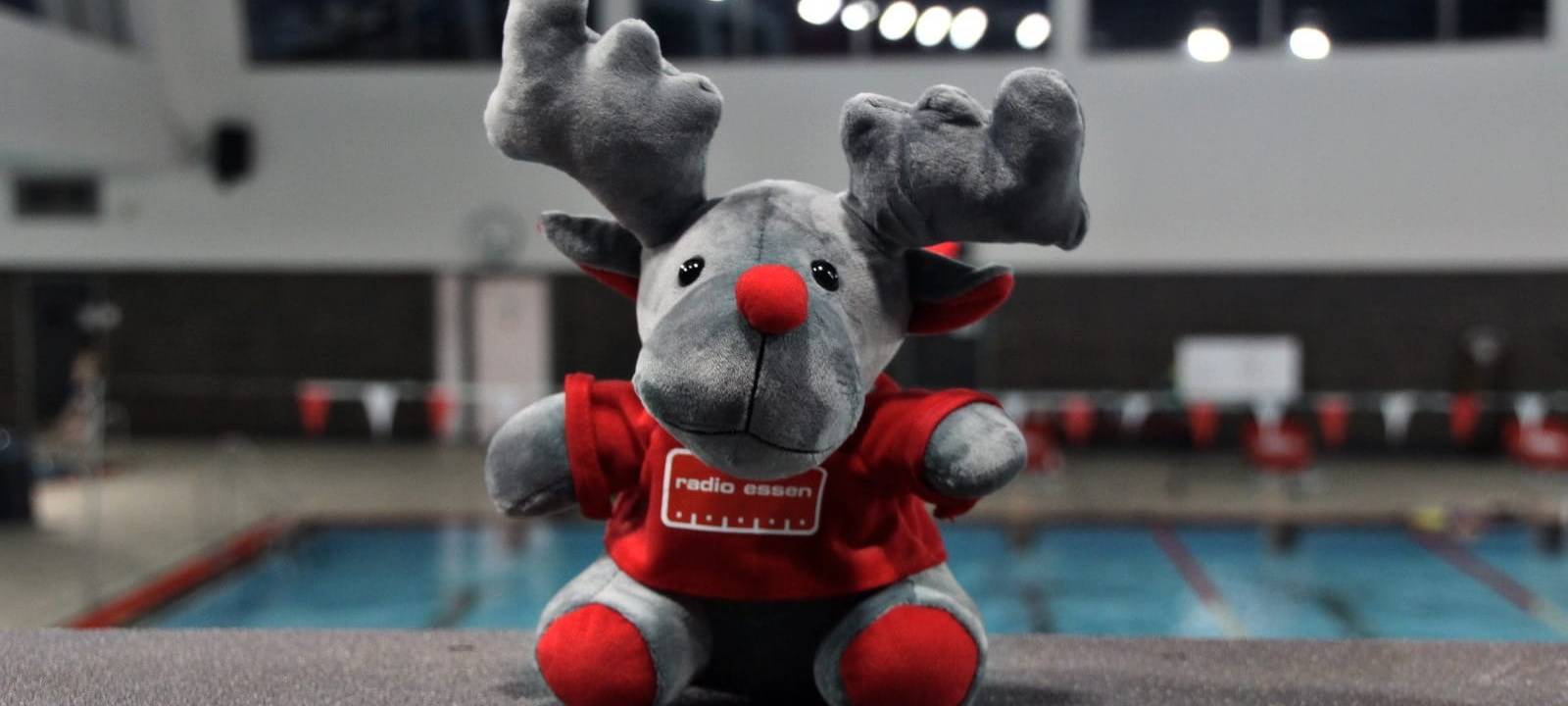 Kuscheltier-Schwimmen in Essen startet