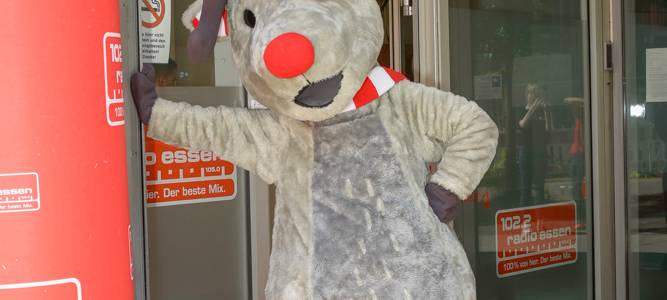 BIG City Trail durch Radio Essen: So war der Lauf durch die Redaktion