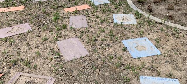 Essen: So war die Eröffnungsfeier im Revierpark Nienhausen