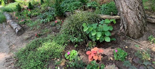 Essen: So war die Eröffnungsfeier im Revierpark Nienhausen