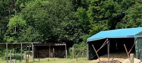 Essen: So war die Eröffnungsfeier im Revierpark Nienhausen