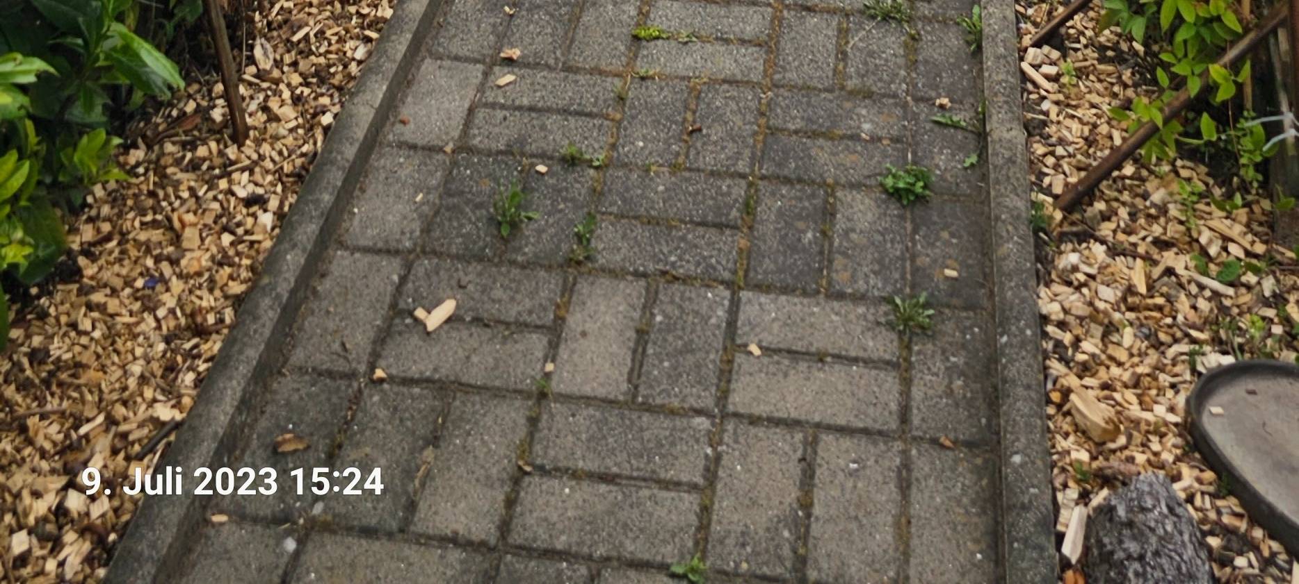 Sturm in Essen: Kleingärten überflutet