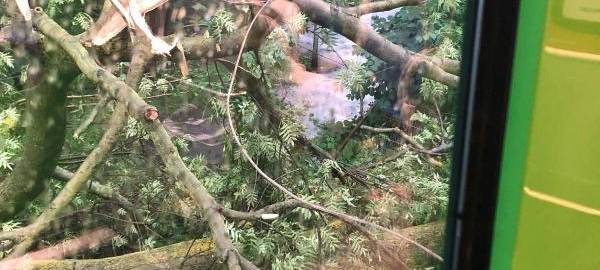 Unwetter in Essen: Viele Schäden und Feuerwehreinsätze