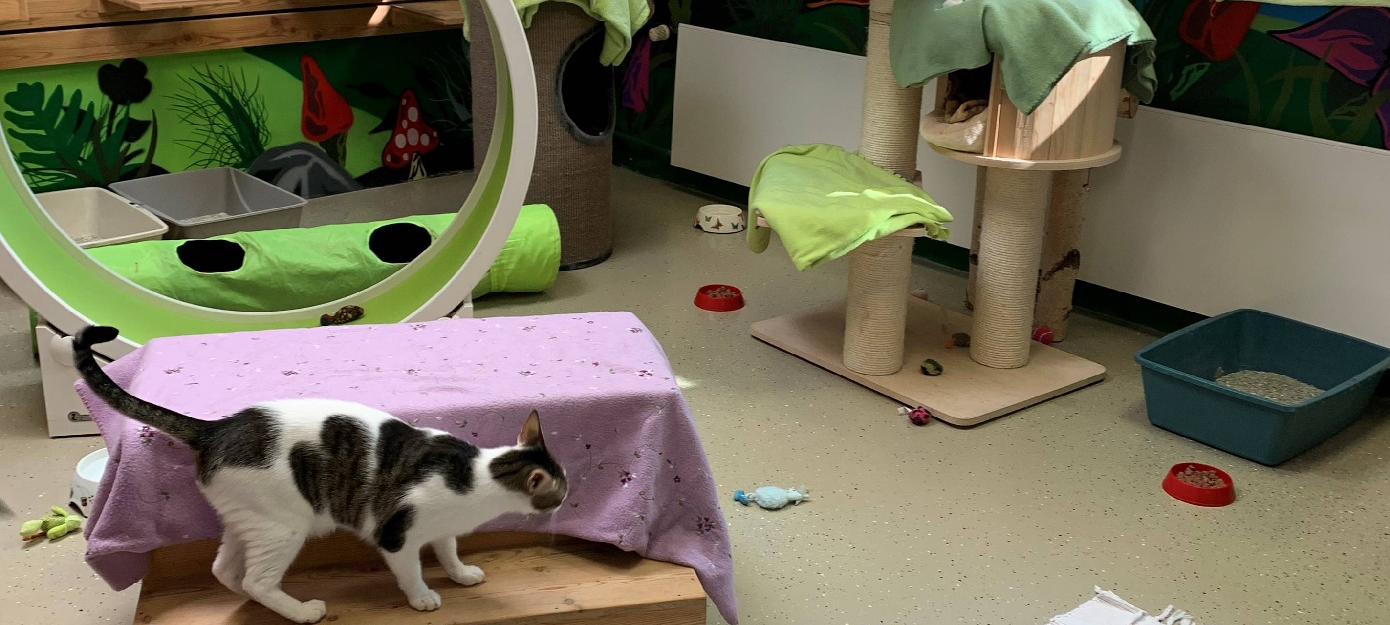 Radio Essen sucht das Glück: Macht Nähe glücklich?