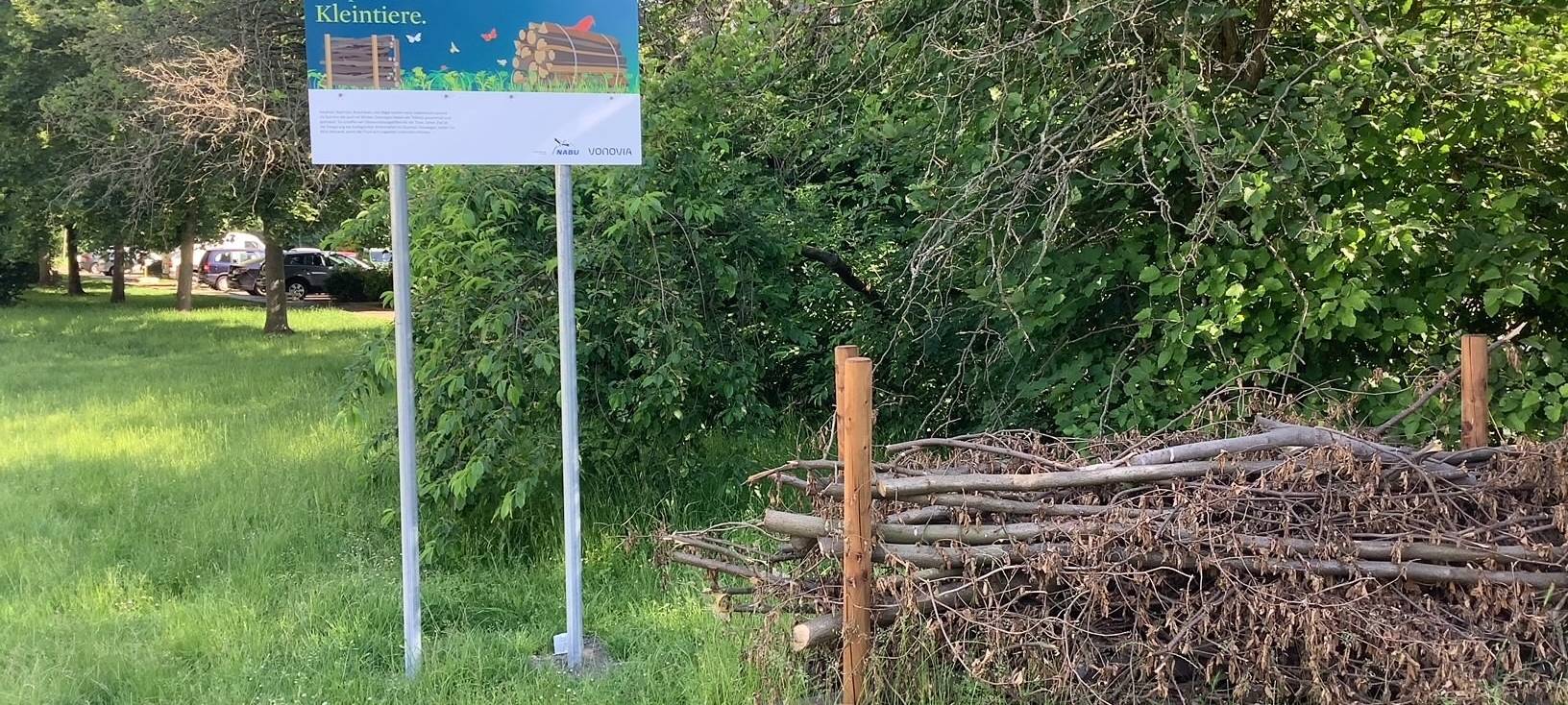 Totholz in Essen soll für mehr Artenschutz sorgen