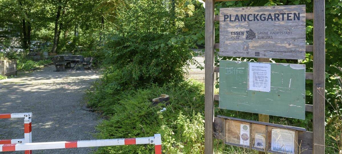 Gemeinschaftsgarten in Essen kommt weg