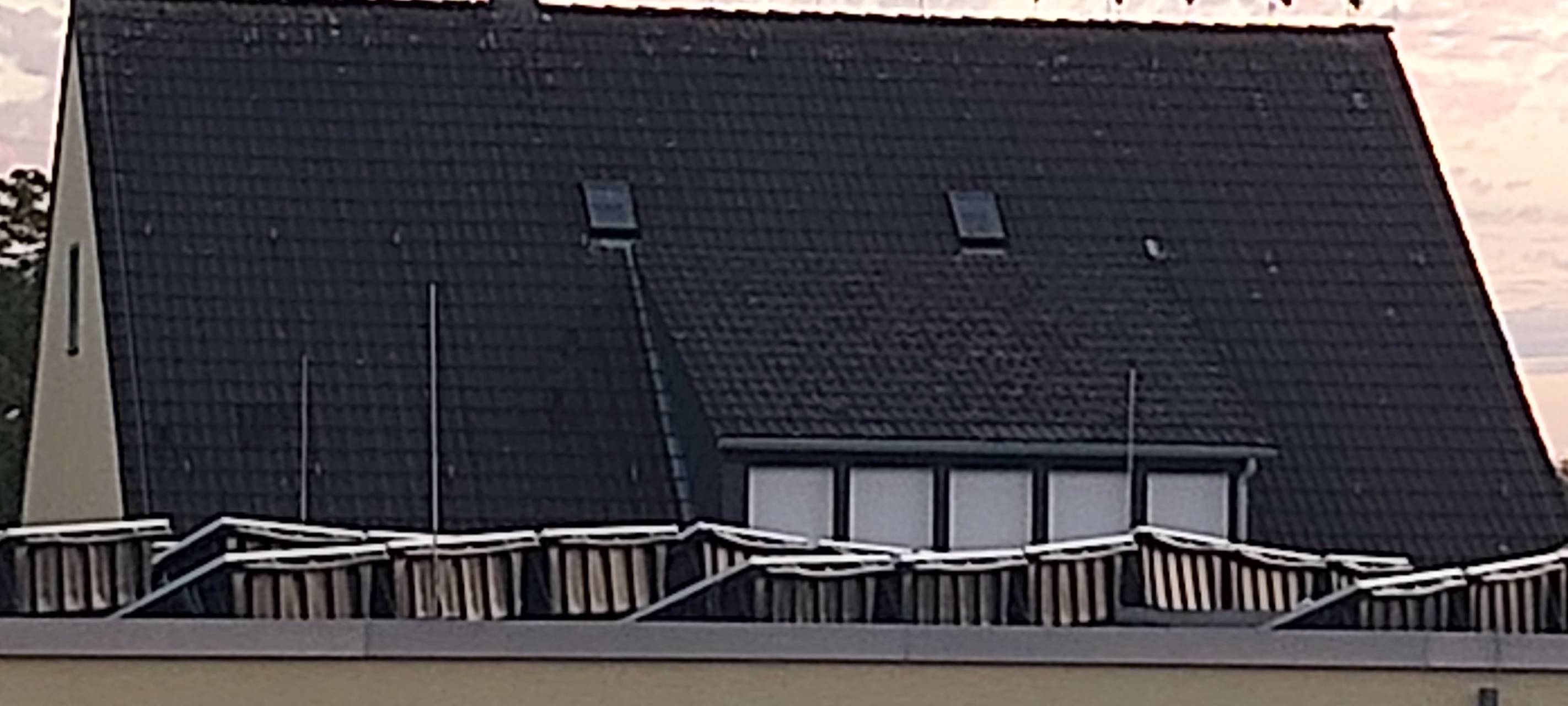 Viele Störche in Essen unterwegs - Tolle Fotos von Hörern