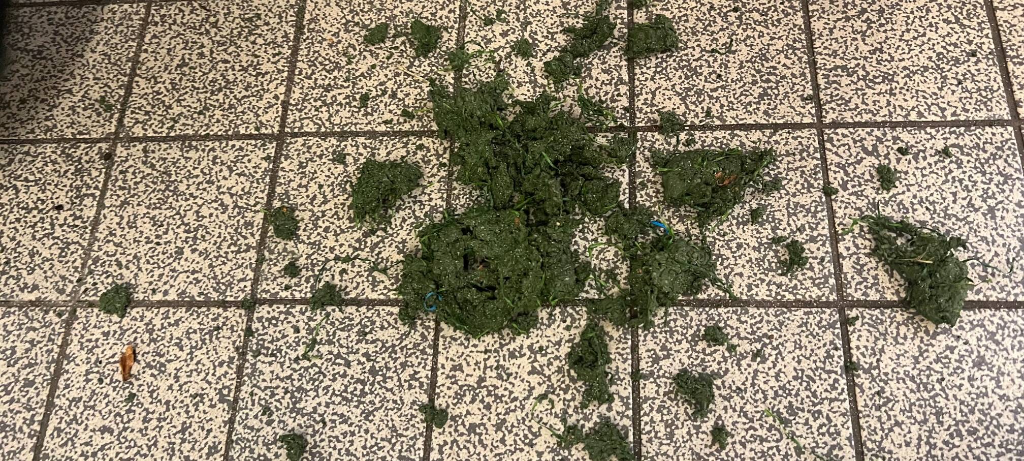 Fußballplatz in Essen: Klumpen auf dem Rasen und unter den Schuhen