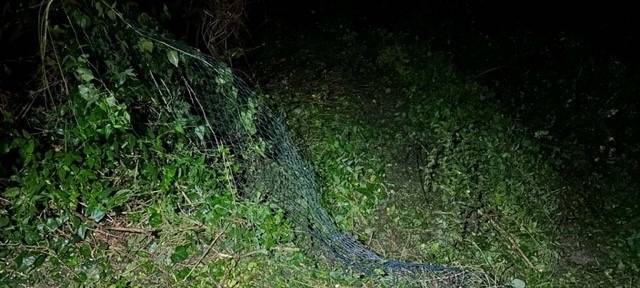 Mann fährt in Essen mit fremdem Radlader - Zeugen gesucht