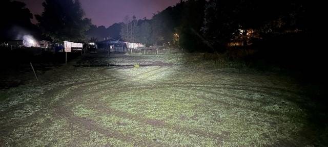 Mann fährt in Essen mit fremdem Radlader - Zeugen gesucht