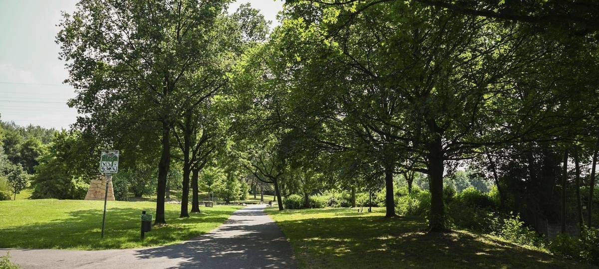 Parkanlage in Essen soll viele neue Sportangebote bekommen