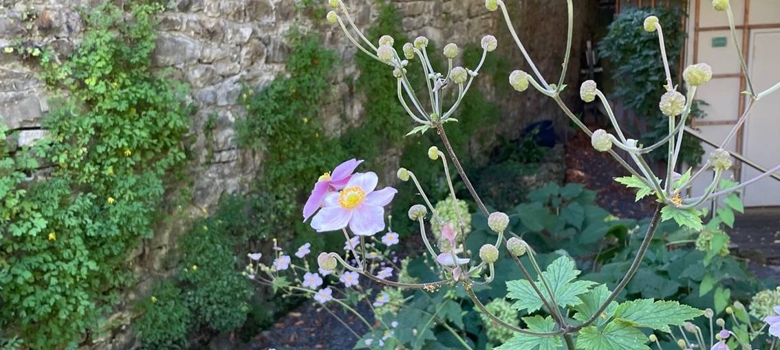 Geheimtipp in Essen für den Tag des offenen Denkmals