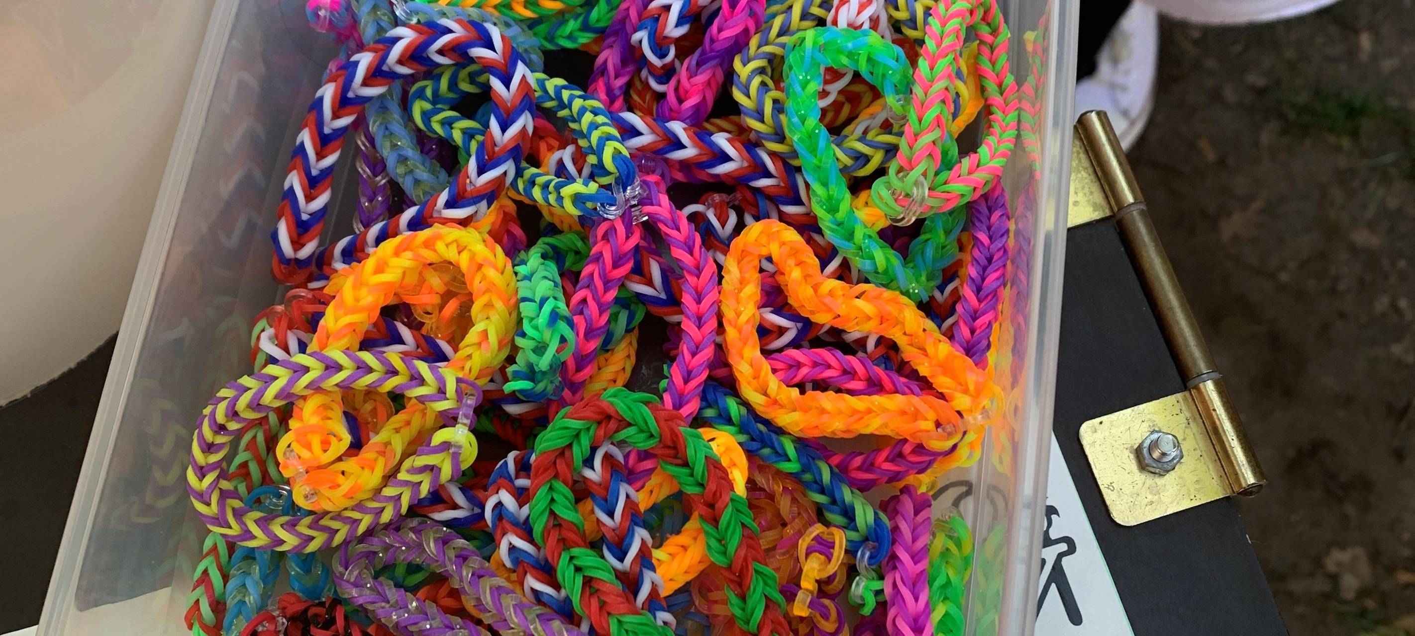 Sonnenblumenfest in Essen bietet viele Aktionen