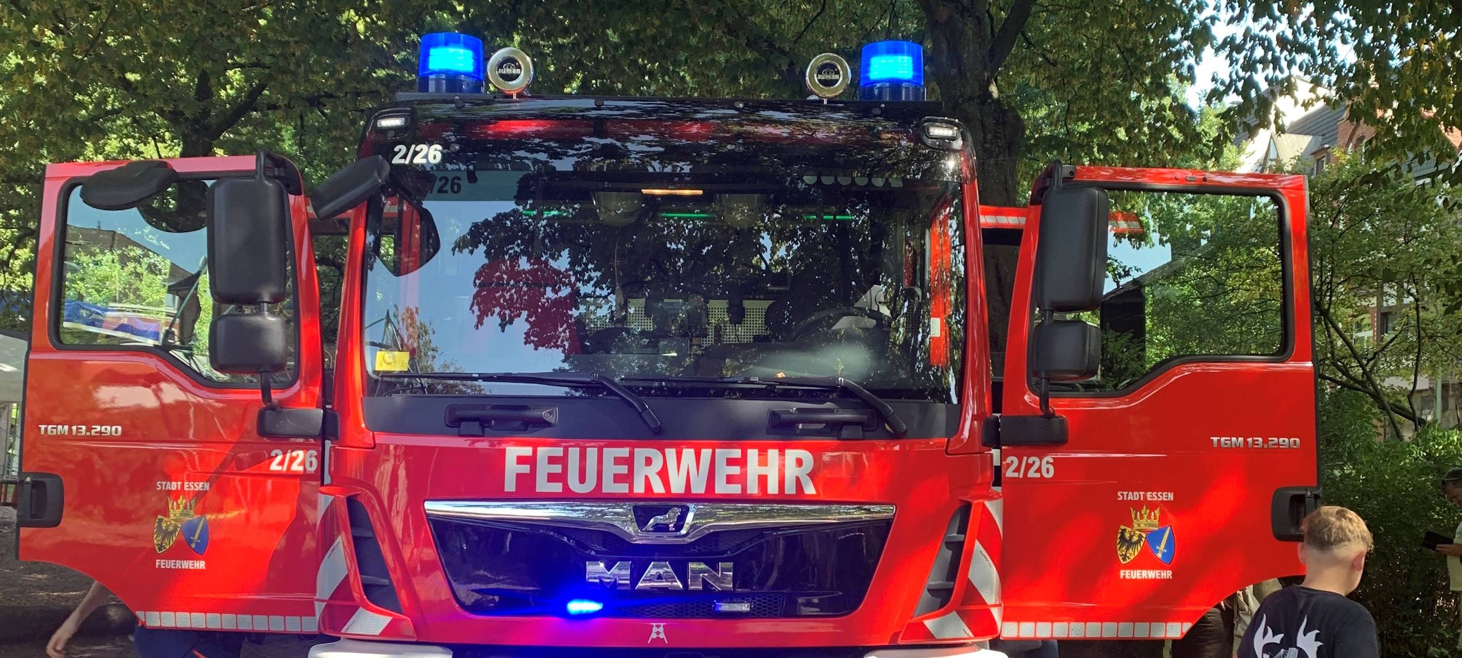 Sonnenblumenfest in Essen bietet viele Aktionen