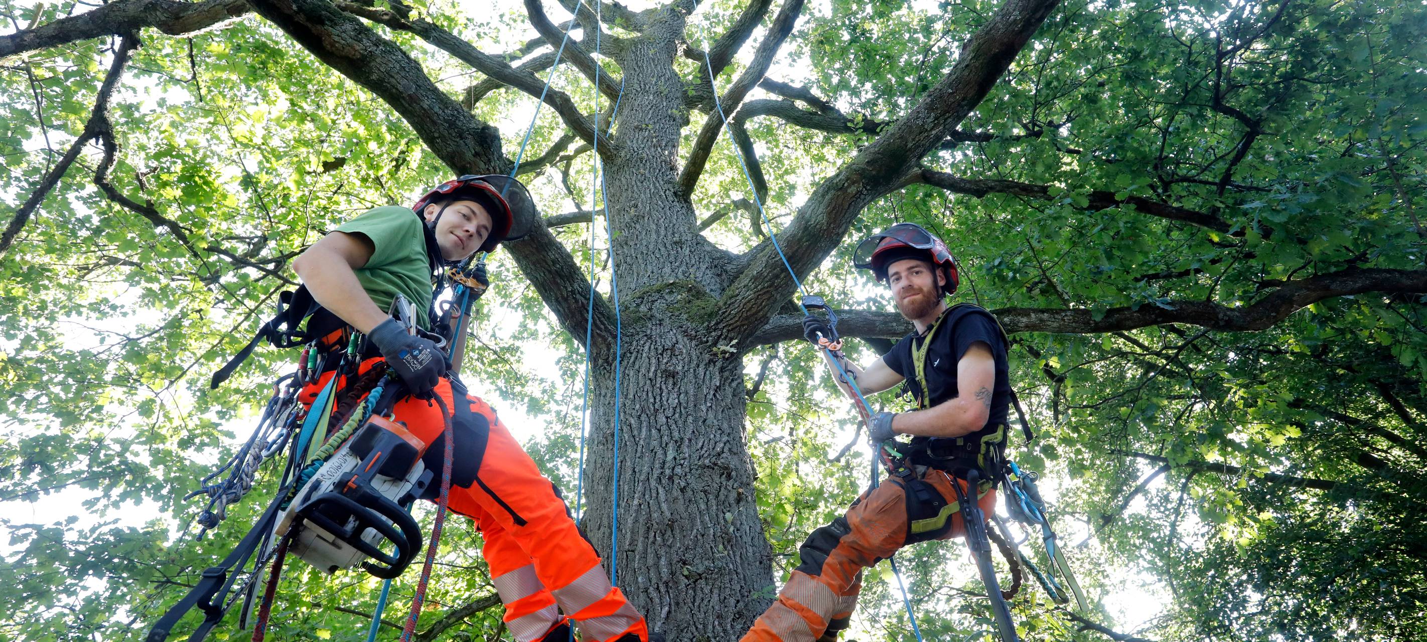 Neuer besonderer Klimakalender in Essen vorgestellt