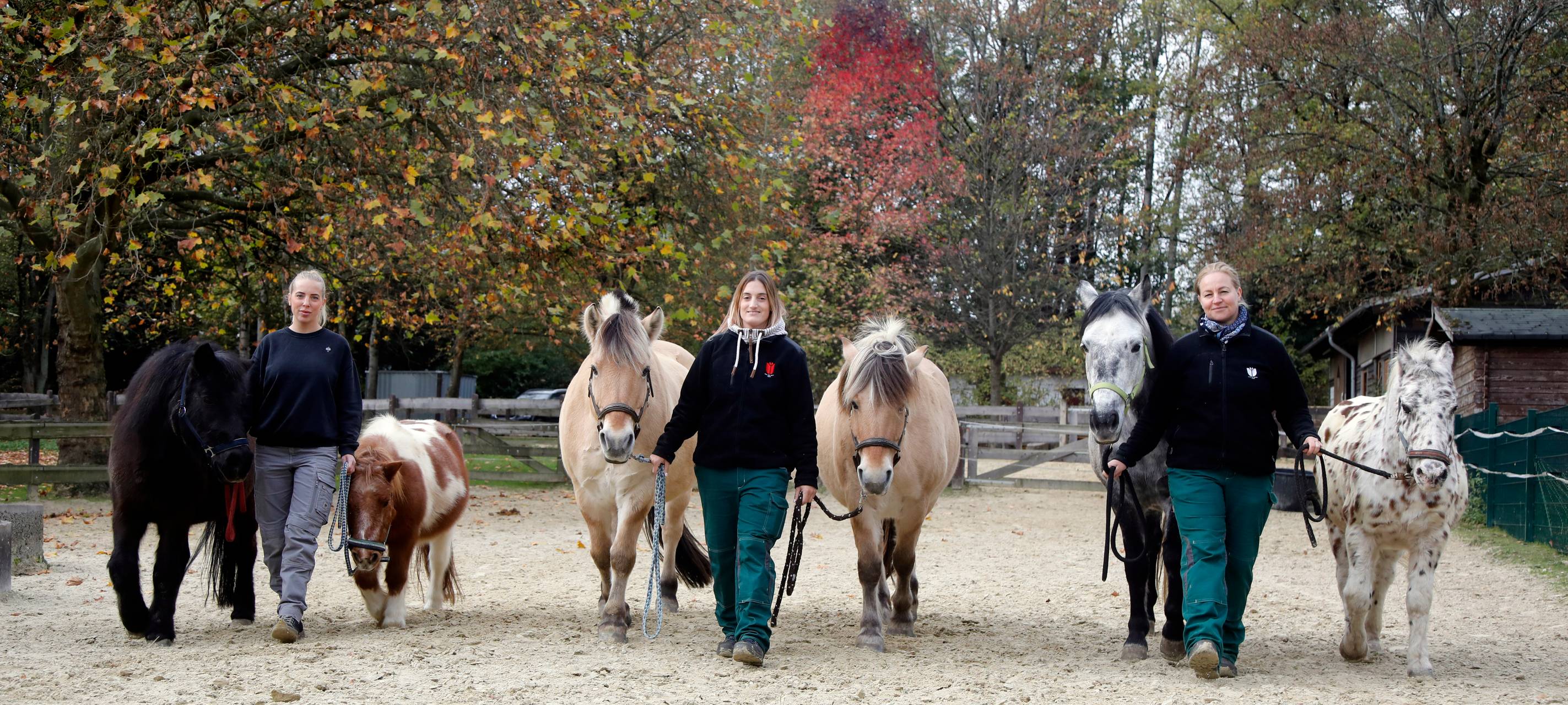 Neuer besonderer Klimakalender in Essen vorgestellt