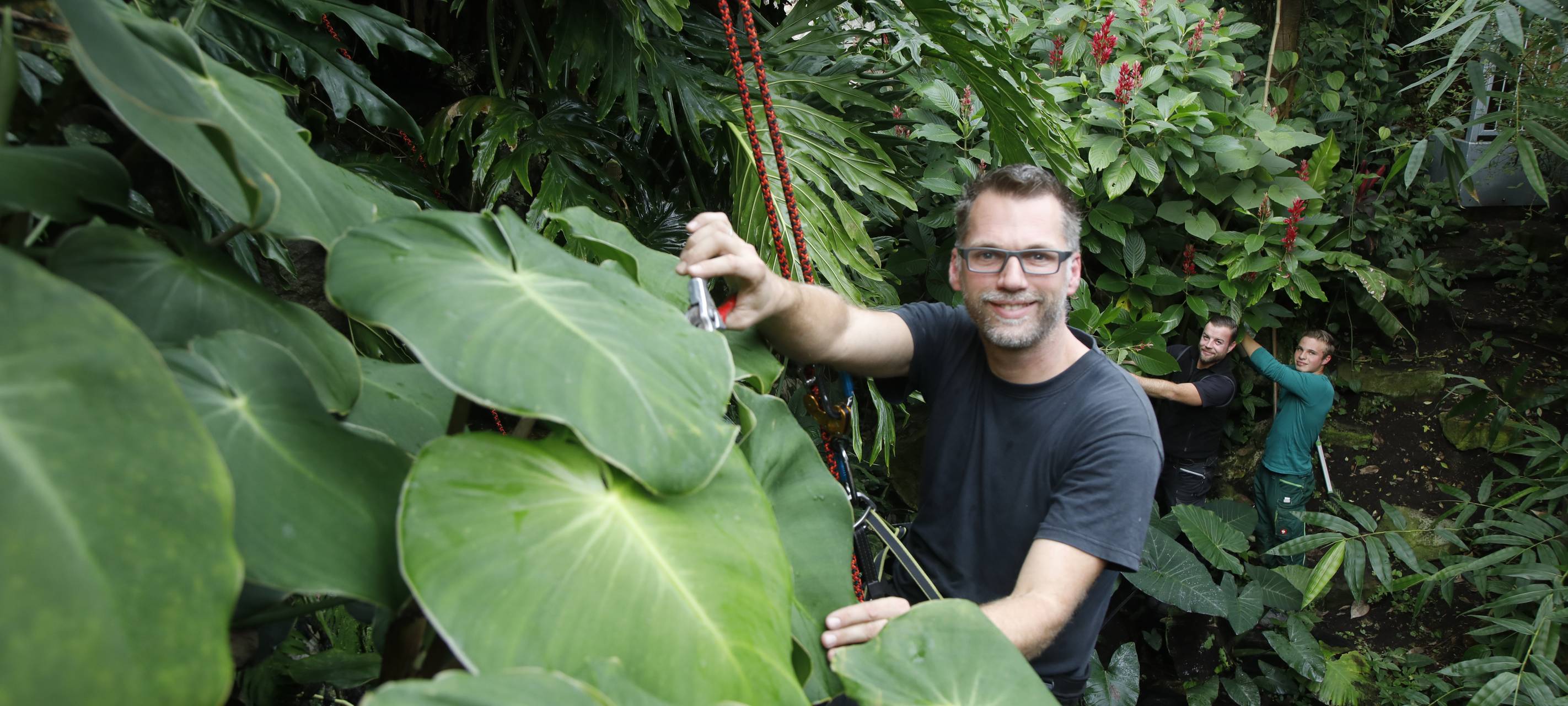 Neuer besonderer Klimakalender in Essen vorgestellt