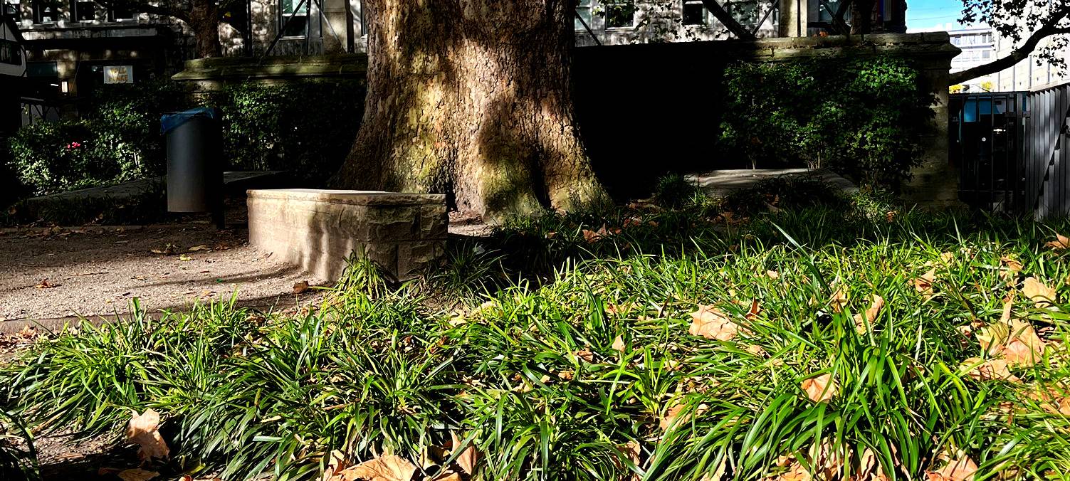 Kardinal-Hengsbach-Statue in Essen abgebaut