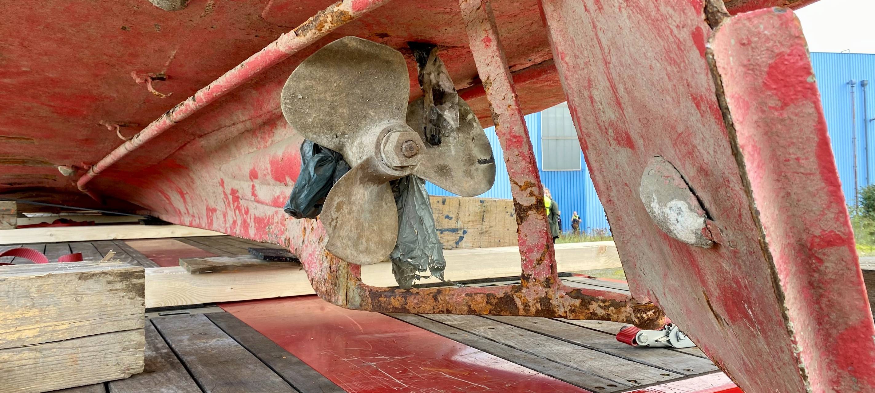 Schiffsschraube und Ruder