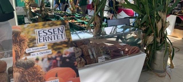 Essen erntet im Grugapark: Wenn der Bauernhof in die Stadt kommt